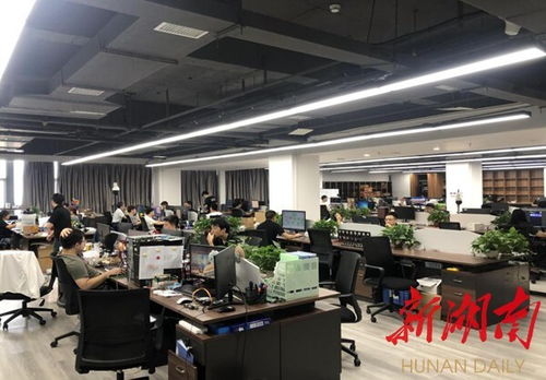 衡陽崛起數字經濟新高地 物聯網應用服務驅動城市轉型